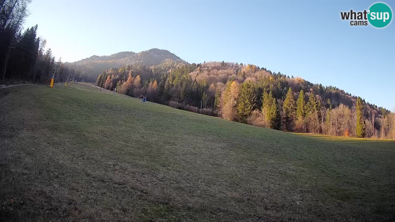 RTC Skigebiet Kranjska Gora | Brsnina