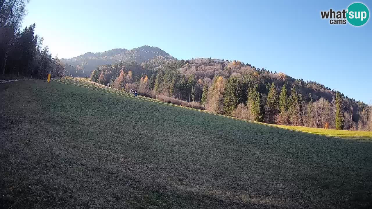 Ski Kranjska Gora | Brsnina