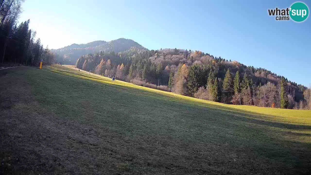 Kranjska Gora SKIJANJE | Brsnina