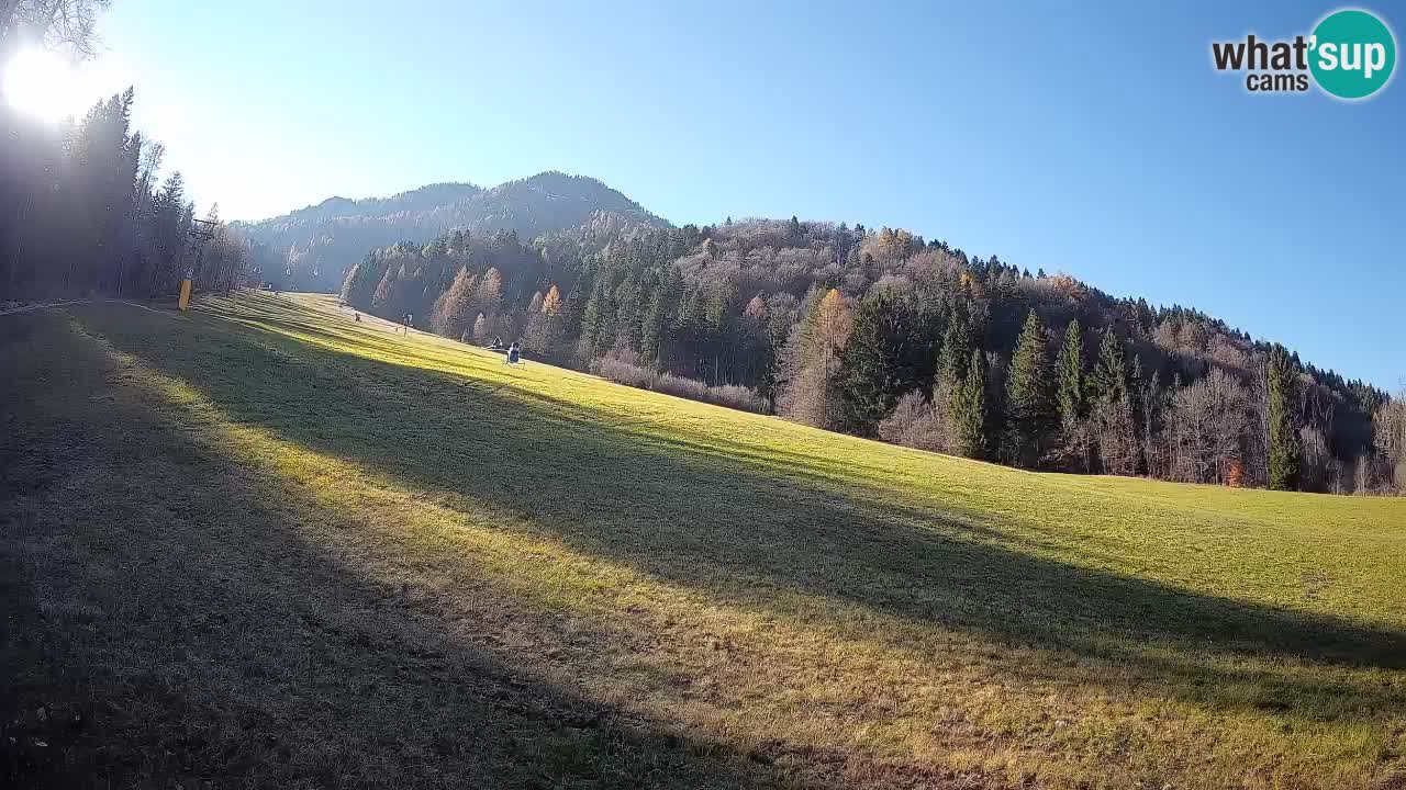 Kranjska Gora Station de ski | Brsnina