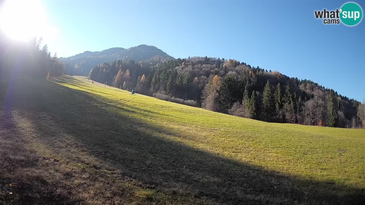 Kranjska Gora Station de ski | Brsnina