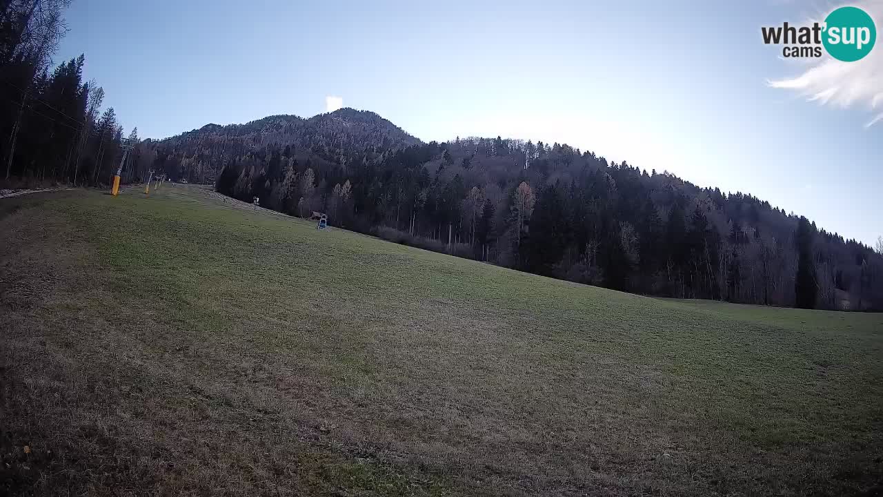 RTC Kranjska Gora | Brsnina