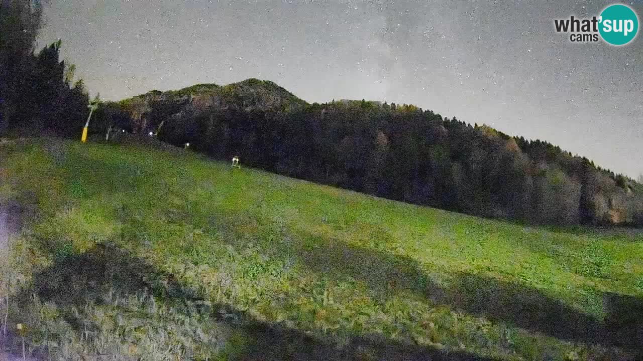 Ski Kranjska Gora | Brsnina