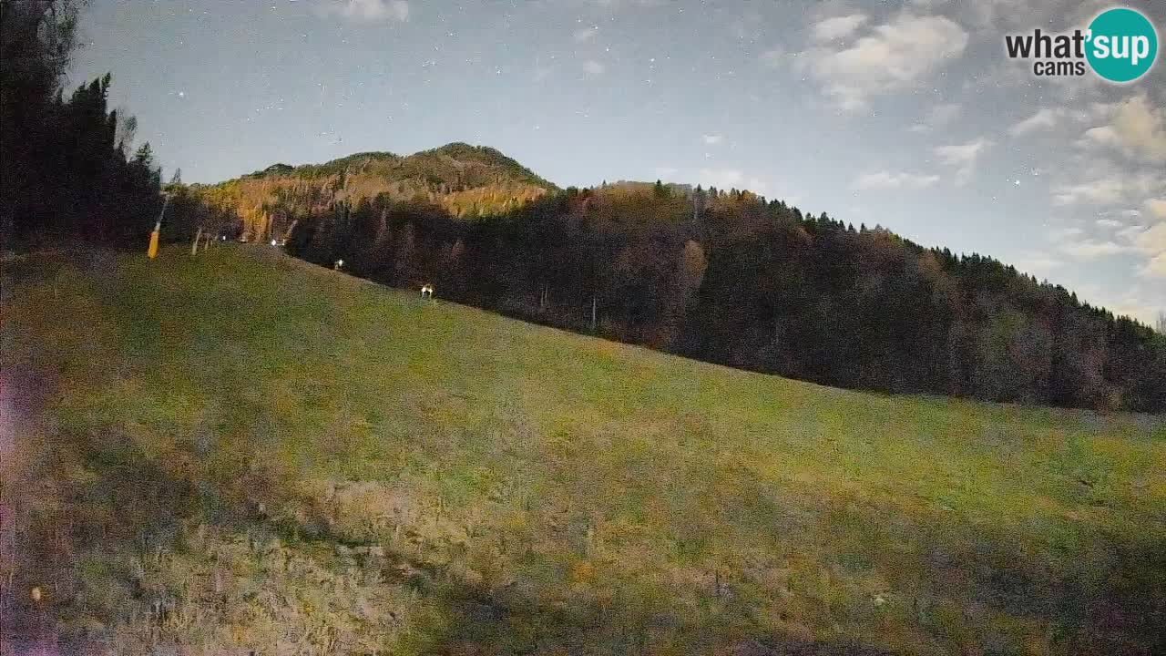 Ski Kranjska Gora | Brsnina