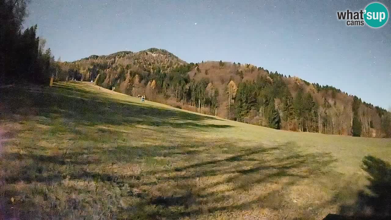 RTC Skigebiet Kranjska Gora | Brsnina