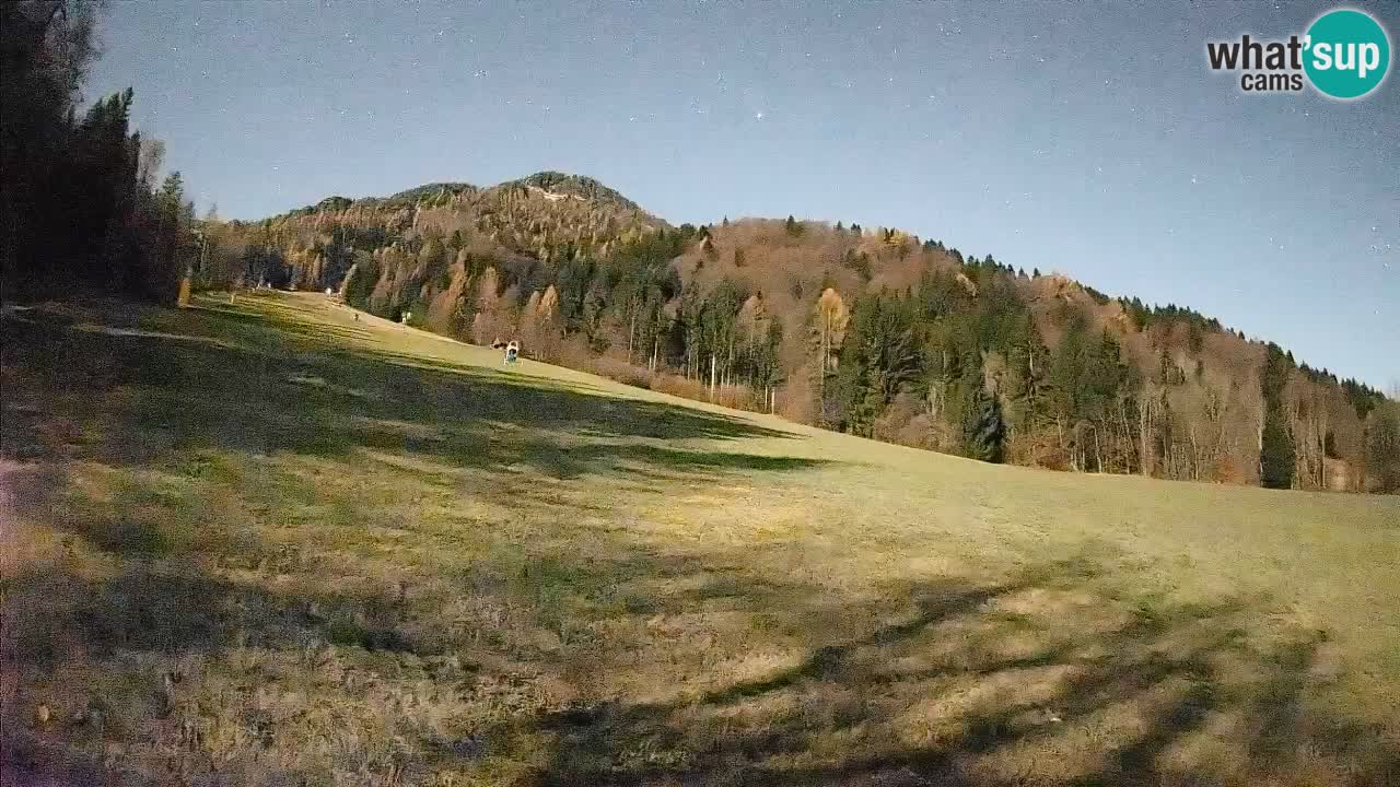 Esquí Kranjska Gora | Brsnina