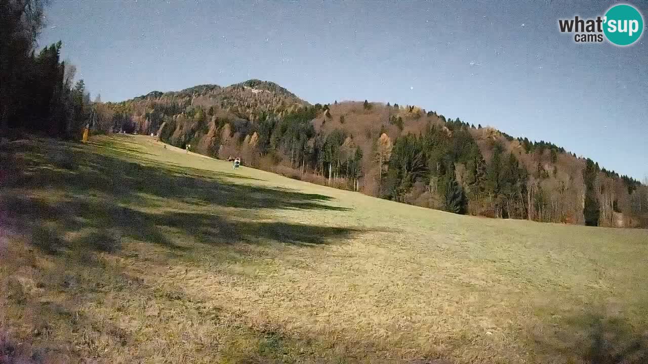 Kranjska Gora Station de ski | Brsnina