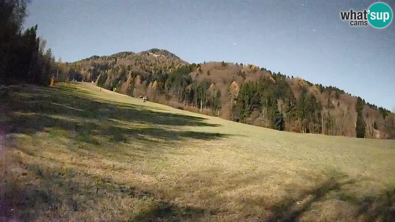 Esquí Kranjska Gora | Brsnina