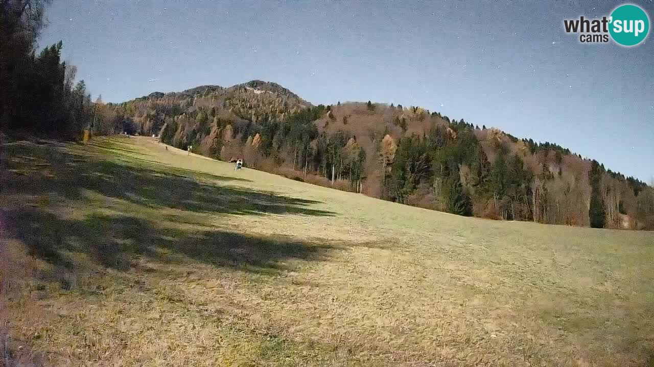 Esquí Kranjska Gora | Brsnina