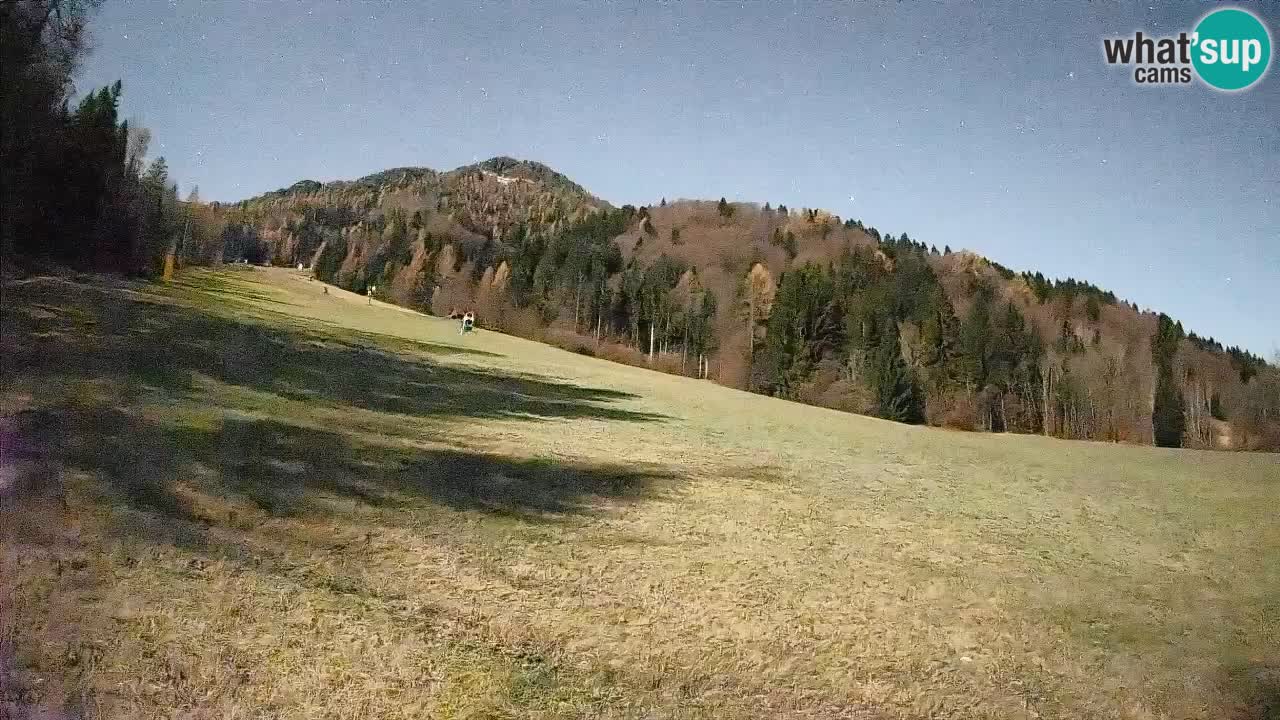 RTC Kranjska Gora | Brsnina
