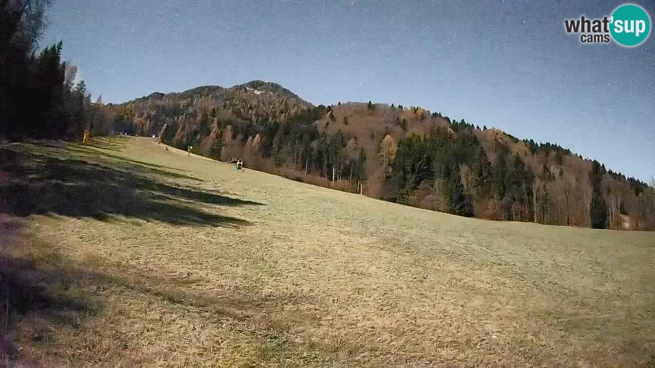 RTC Skigebiet Kranjska Gora | Brsnina