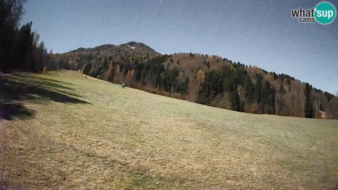 RTC Kranjska Gora | Brsnina