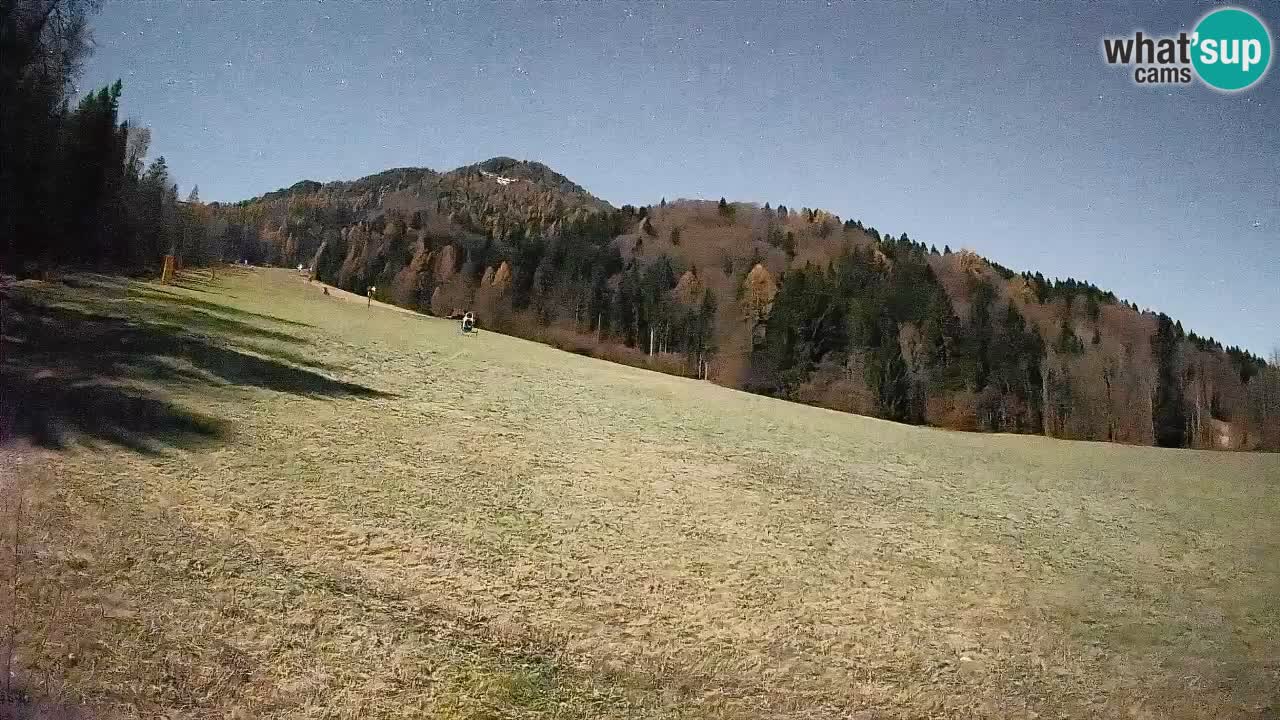 Comprensorio sciistico Kranjska Gora | Brsnina