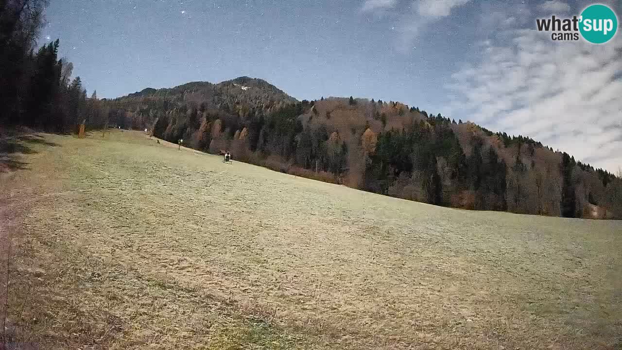 RTC Kranjska Gora | Brsnina