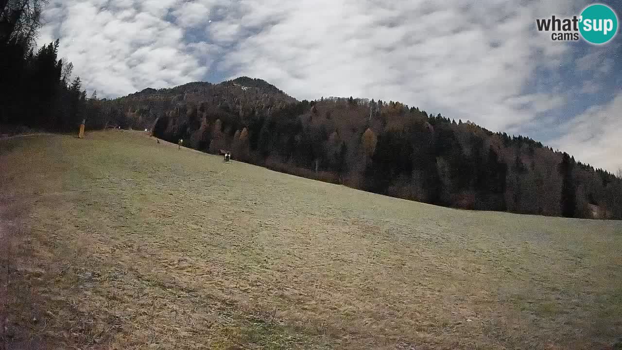 Esquí Kranjska Gora | Brsnina