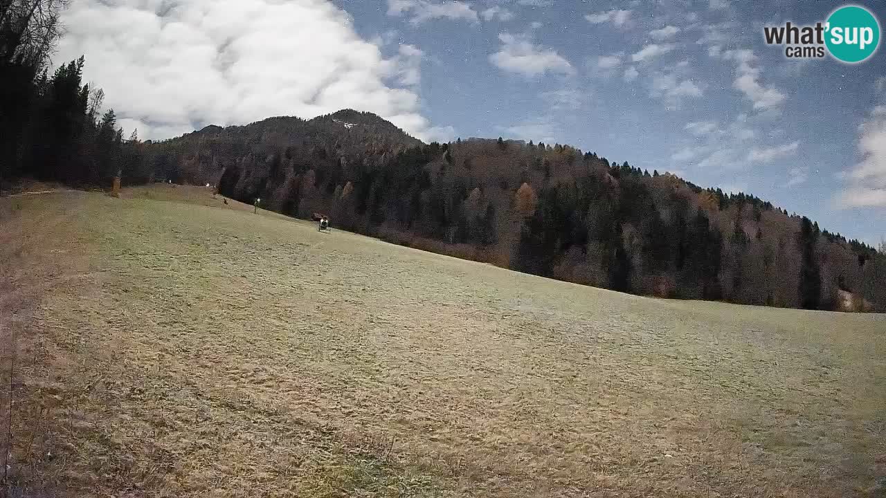 Ski Kranjska Gora | Brsnina