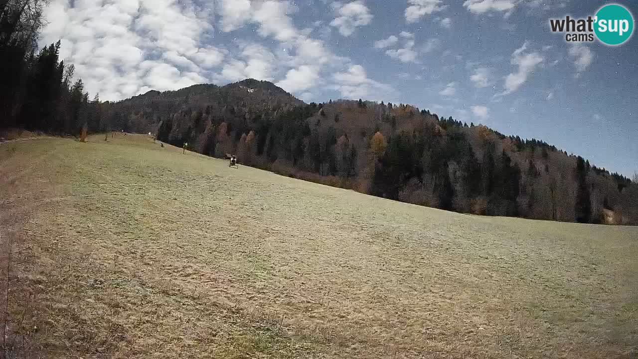 Ski Kranjska Gora | Brsnina