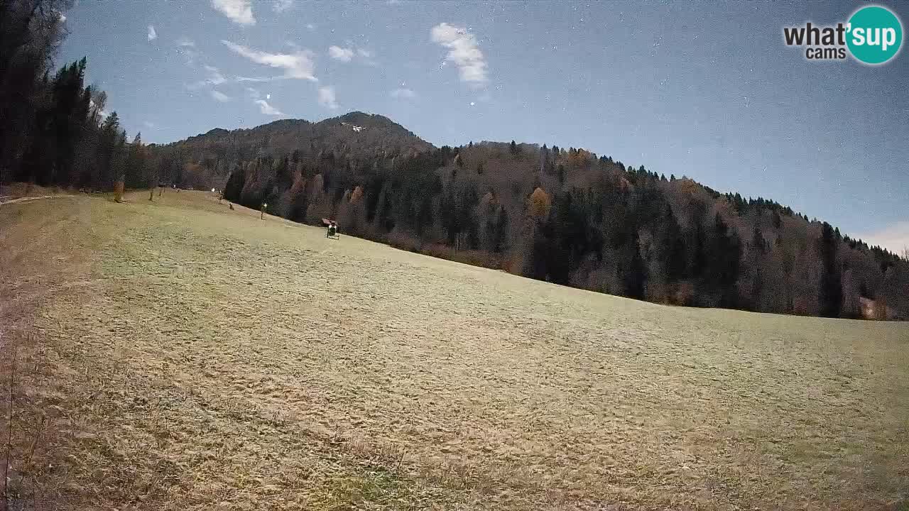 Comprensorio sciistico Kranjska Gora | Brsnina