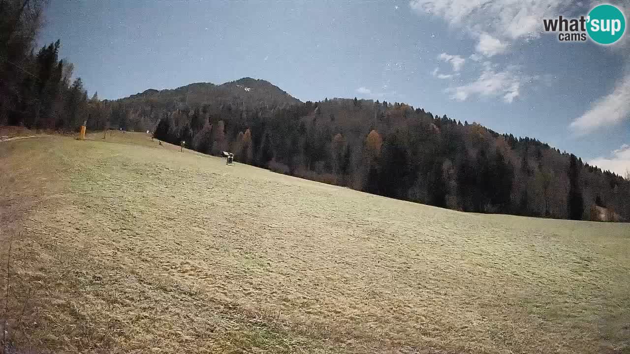 Kranjska Gora Station de ski | Brsnina