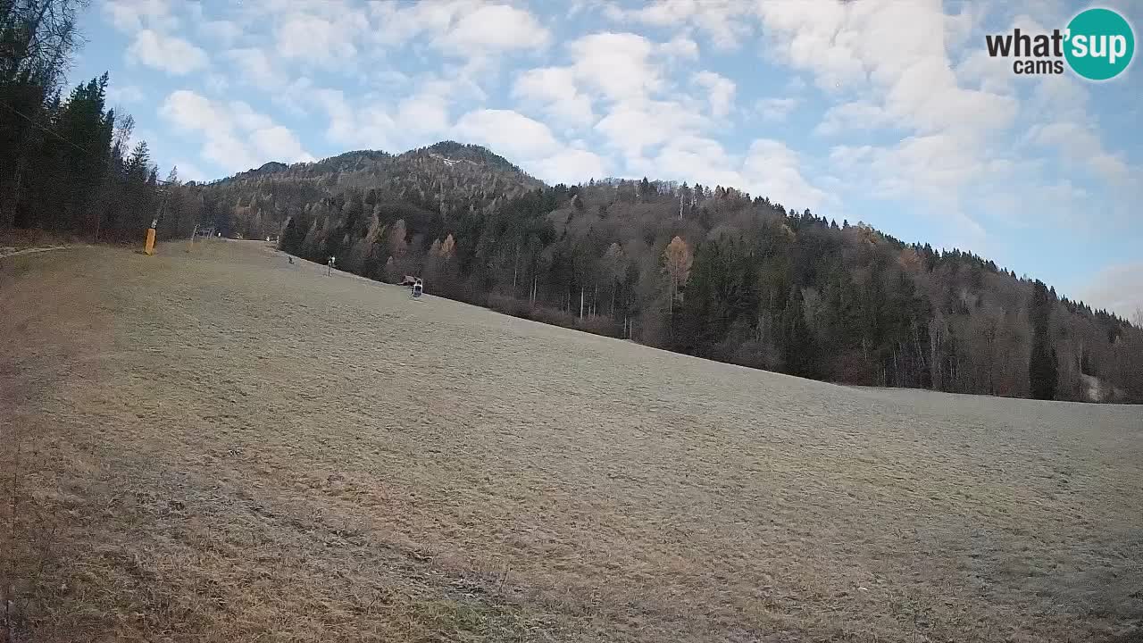 RTC Skigebiet Kranjska Gora | Brsnina