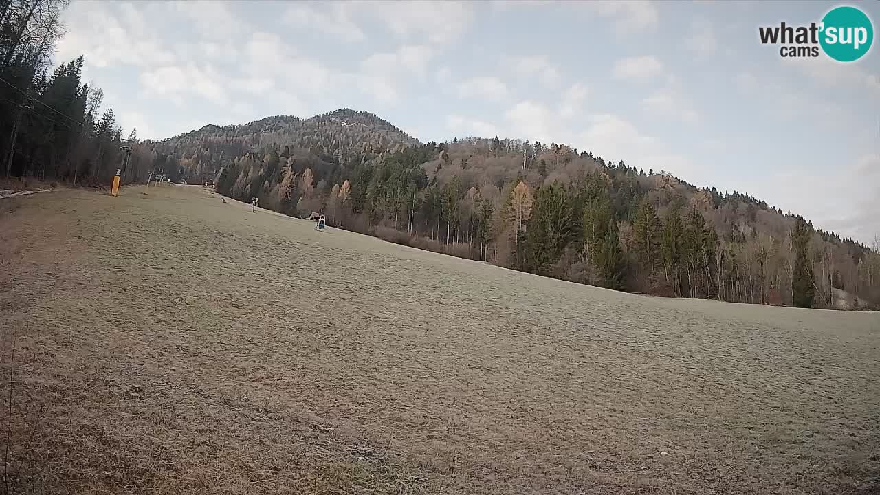 RTC Skigebiet Kranjska Gora | Brsnina