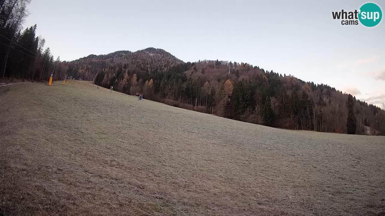 Kranjska Gora SKIJANJE | Brsnina