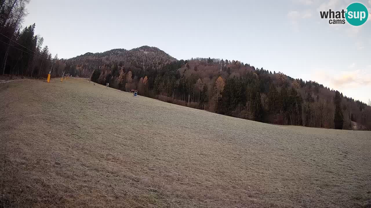 Kranjska Gora SKIJANJE | Brsnina