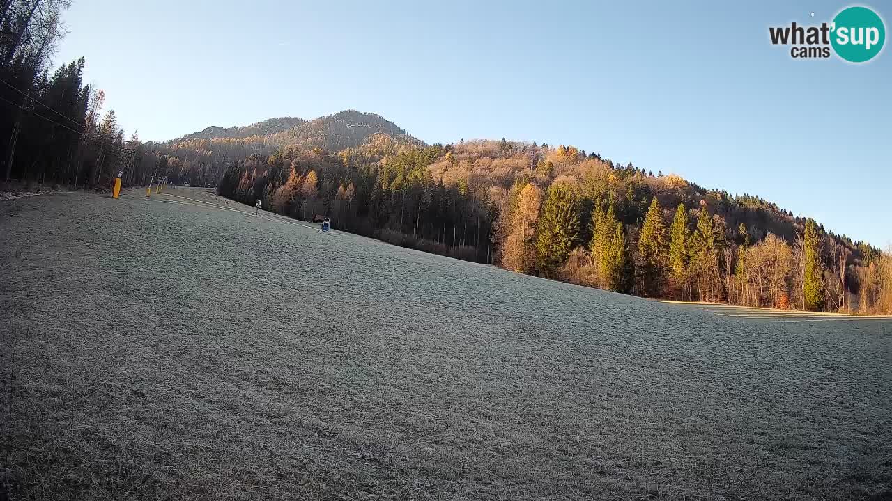 Comprensorio sciistico Kranjska Gora | Brsnina