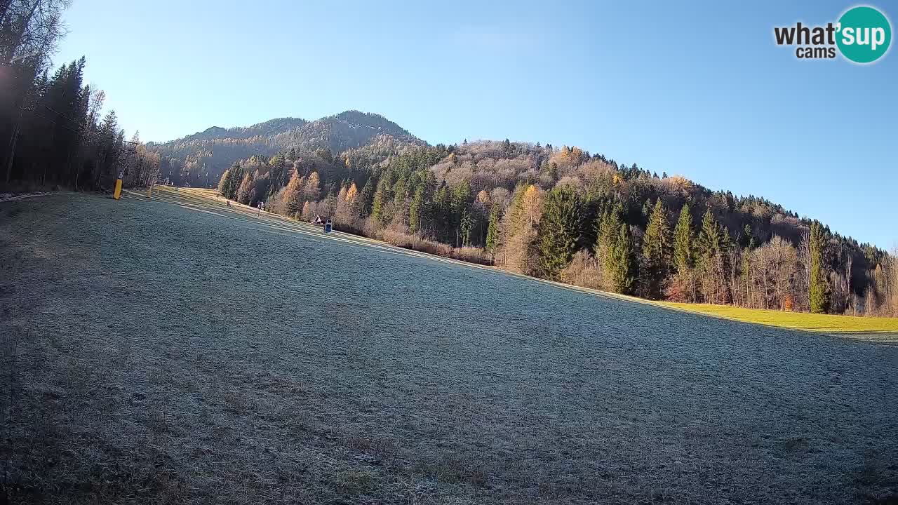 Ski Kranjska Gora | Brsnina