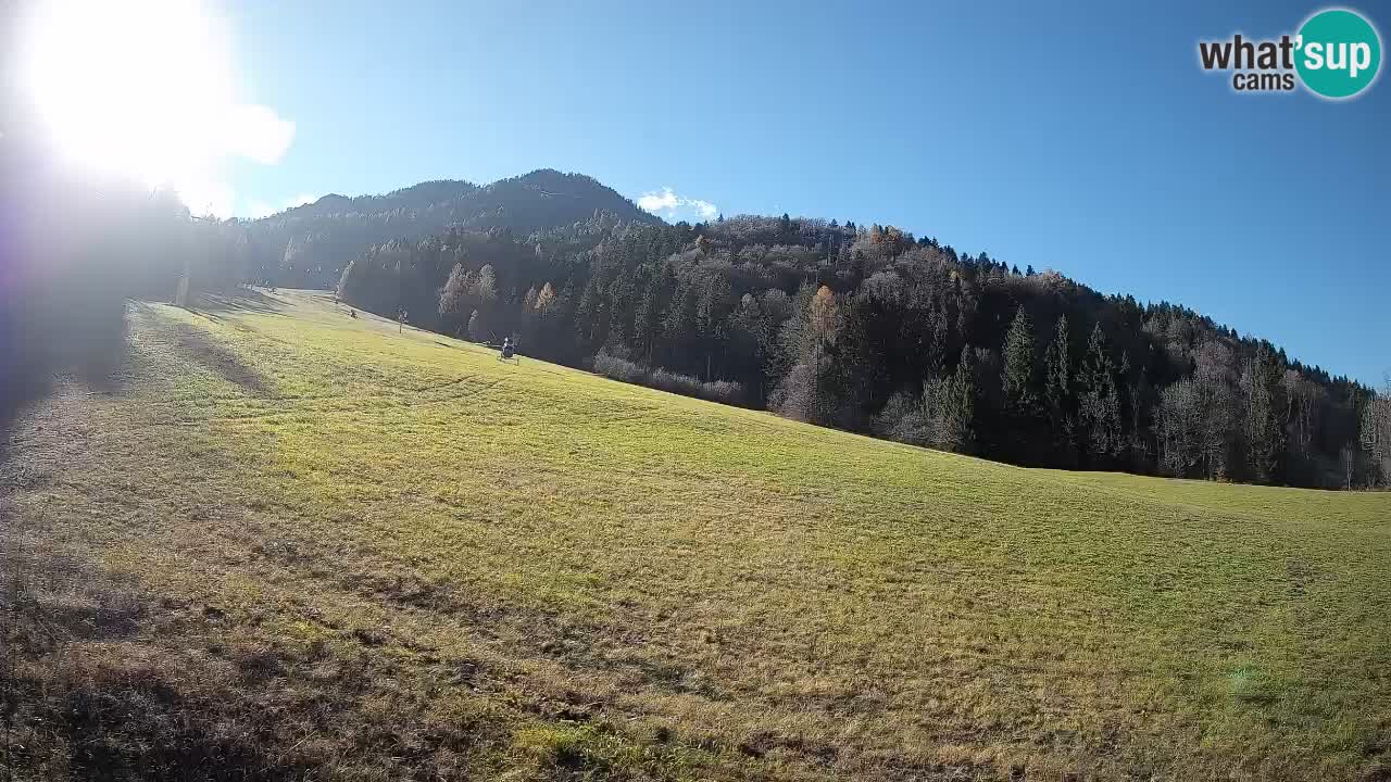 Ski Kranjska Gora | Brsnina