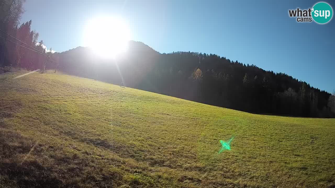 RTC Kranjska Gora | Brsnina