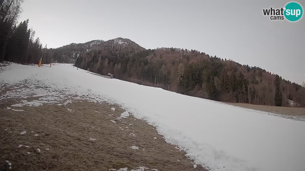 RTC Kranjska Gora | Brsnina