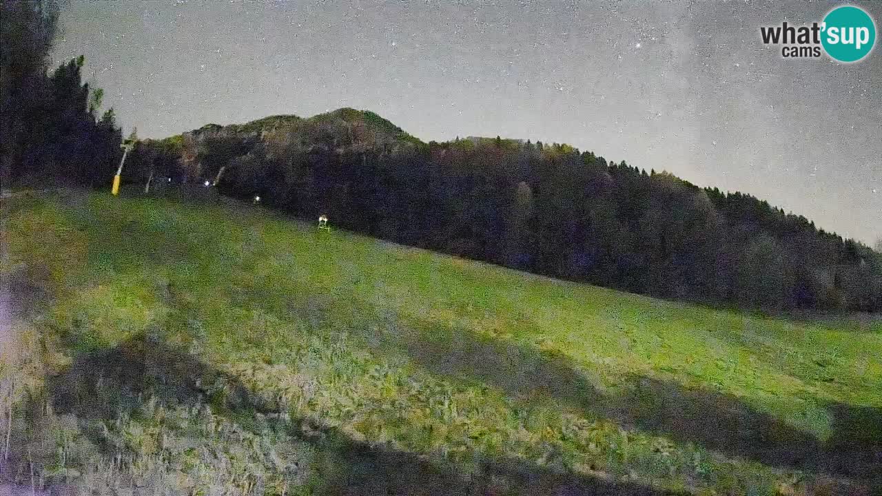 Comprensorio sciistico Kranjska Gora | Brsnina