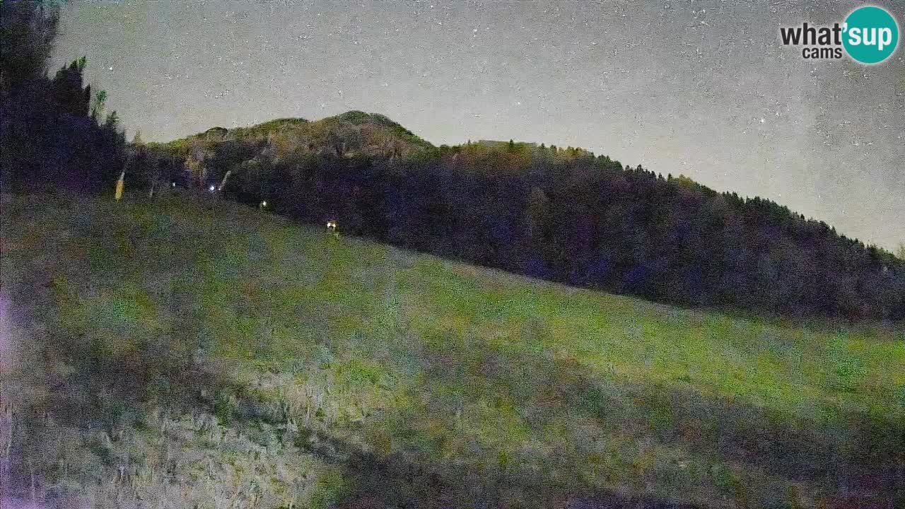 Comprensorio sciistico Kranjska Gora | Brsnina