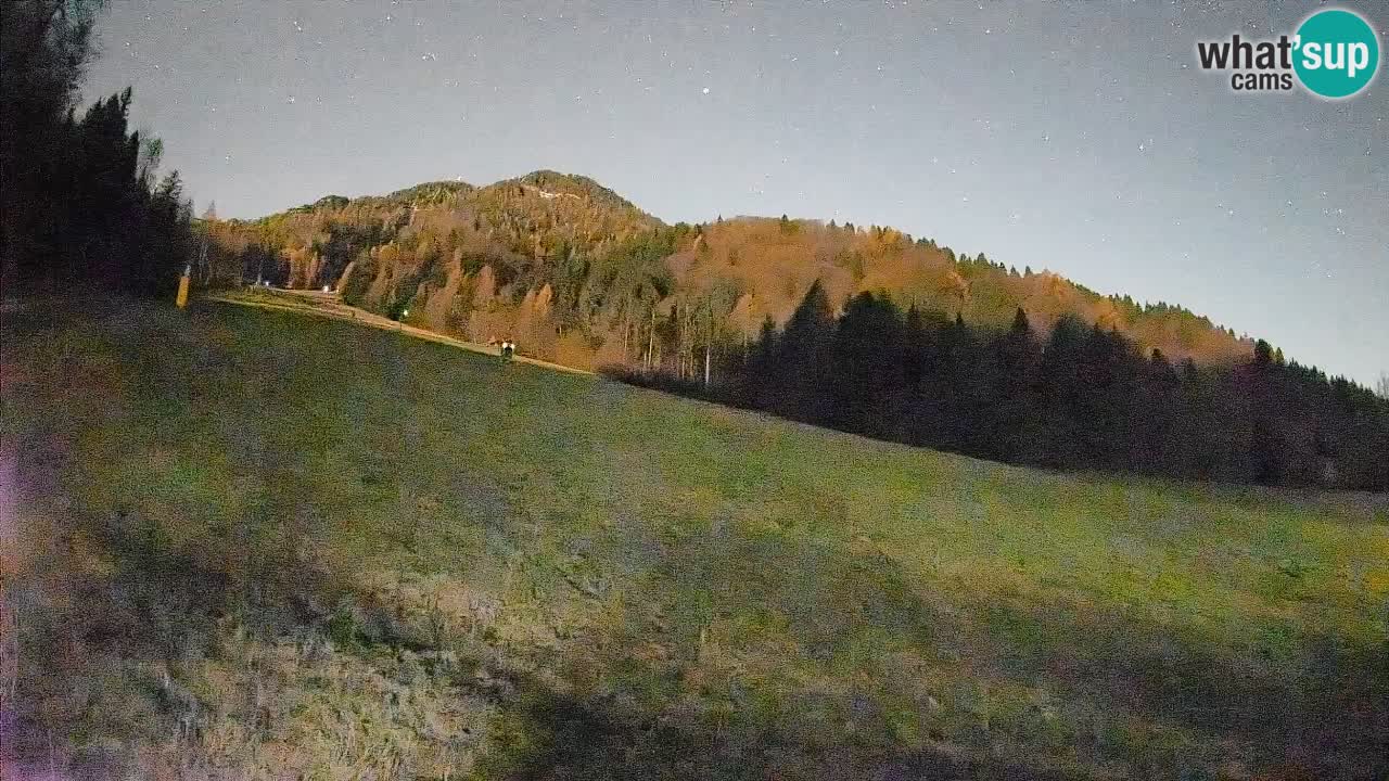 Ski Kranjska Gora | Brsnina