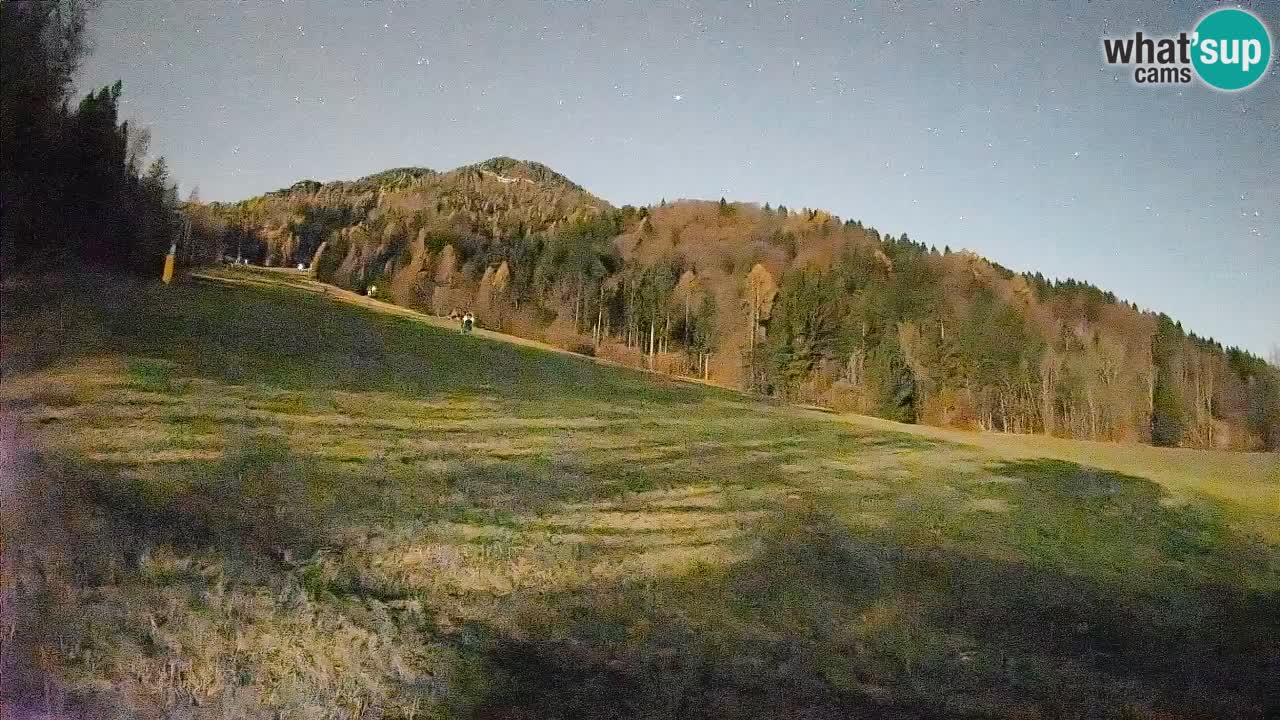 Ski Kranjska Gora | Brsnina