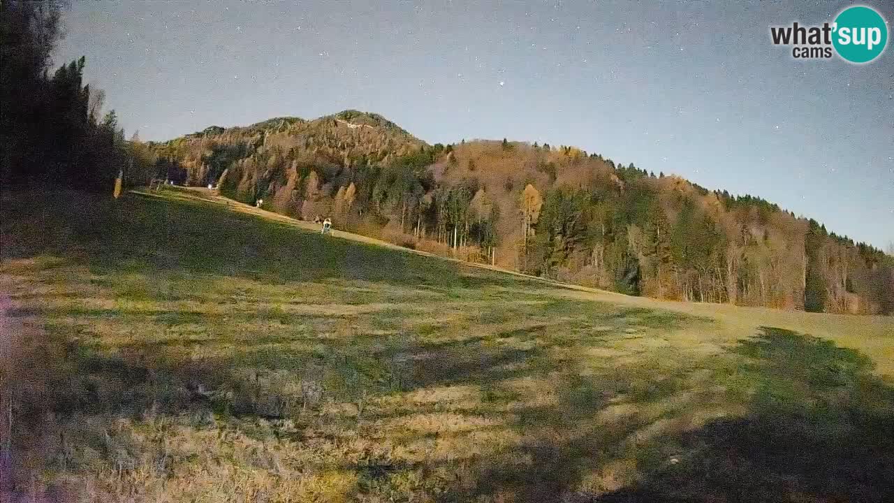 RTC Skigebiet Kranjska Gora | Brsnina