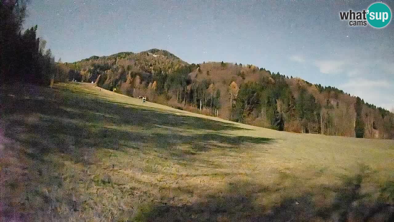 Esquí Kranjska Gora | Brsnina