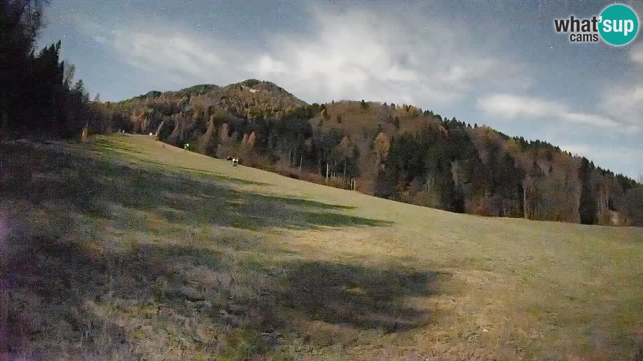 Esquí Kranjska Gora | Brsnina