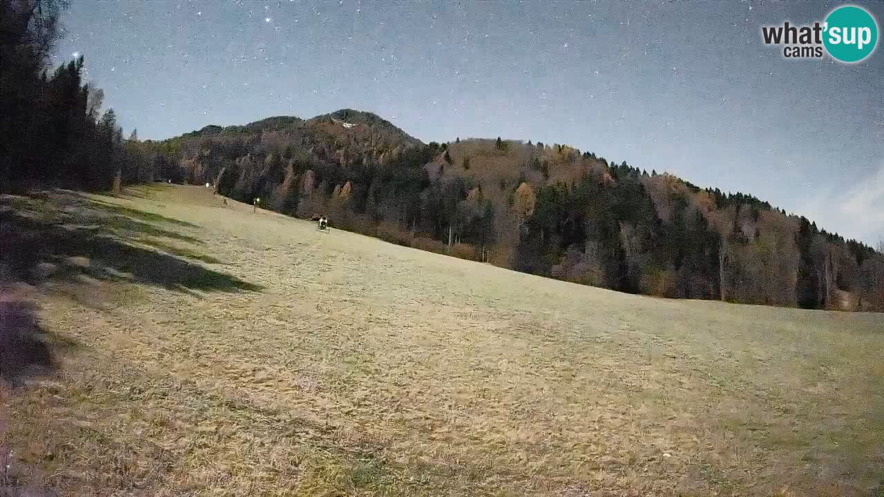 RTC Skigebiet Kranjska Gora | Brsnina