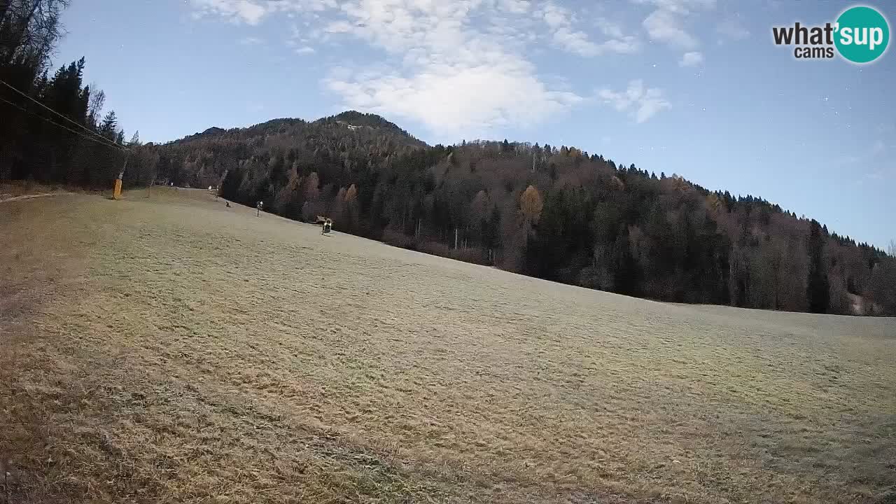 Esquí Kranjska Gora | Brsnina