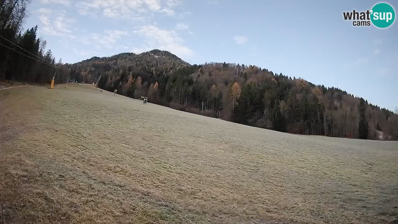 Esquí Kranjska Gora | Brsnina