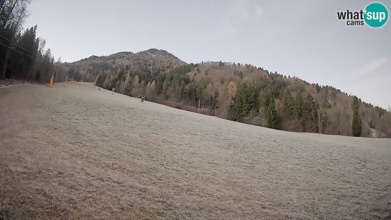 Kranjska Gora SKIJANJE | Brsnina