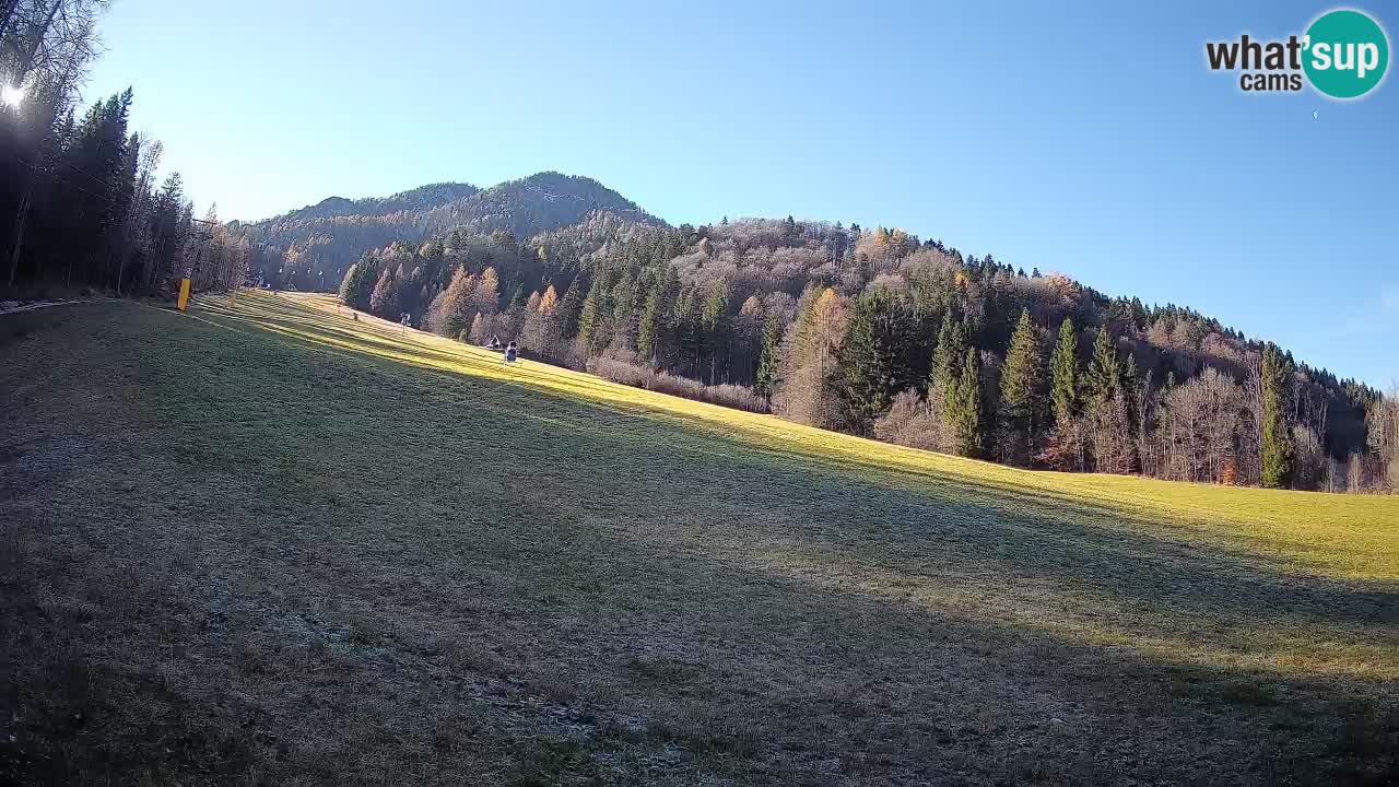 Ski Kranjska Gora | Brsnina