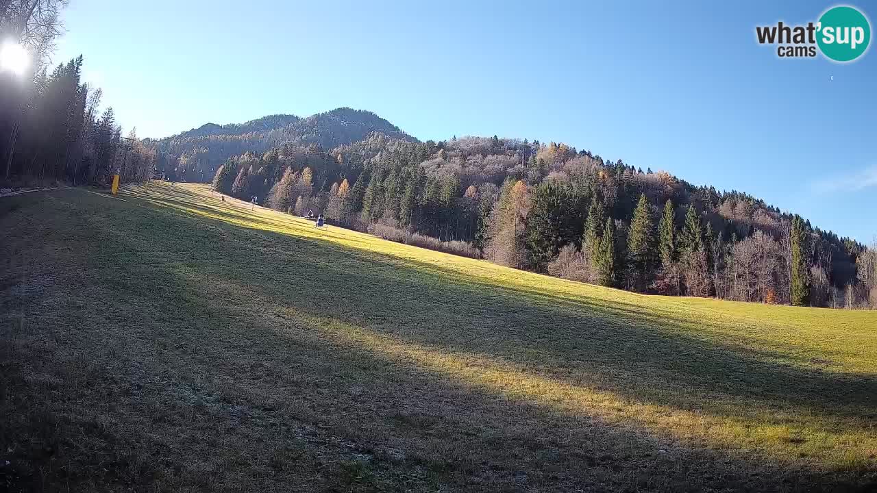 Kranjska Gora SKIJANJE | Brsnina