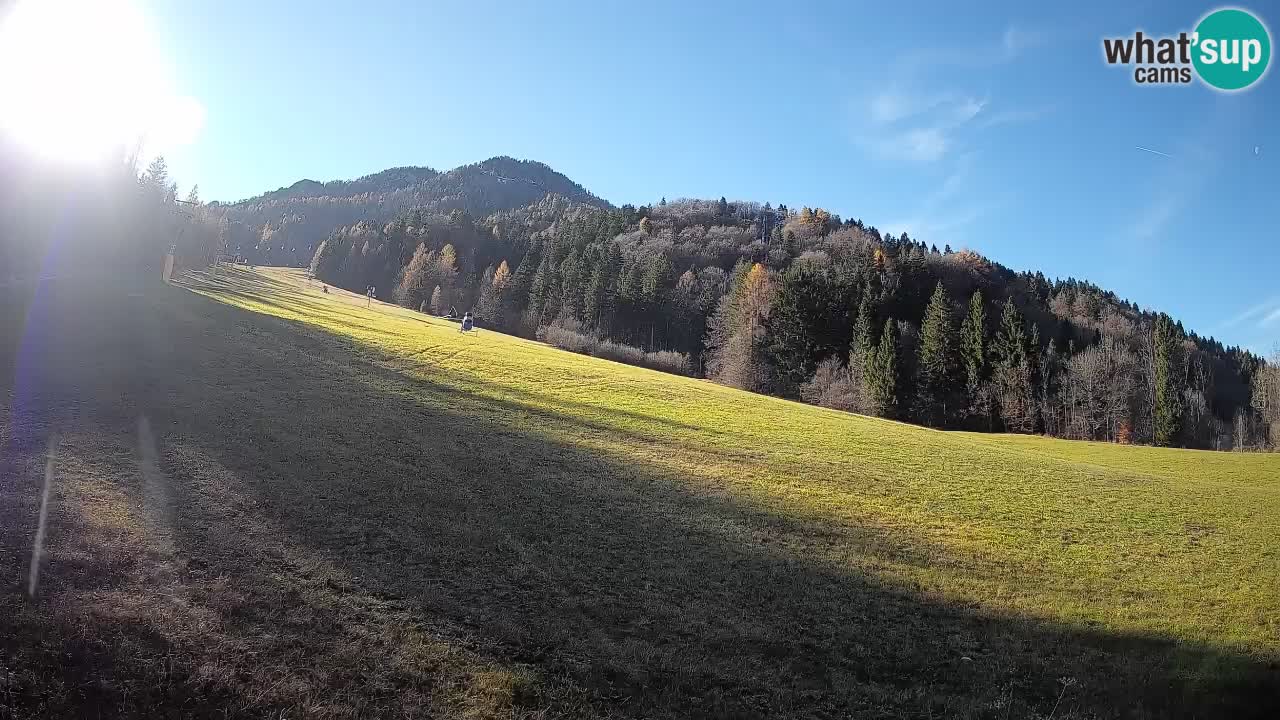 Kranjska Gora Station de ski | Brsnina