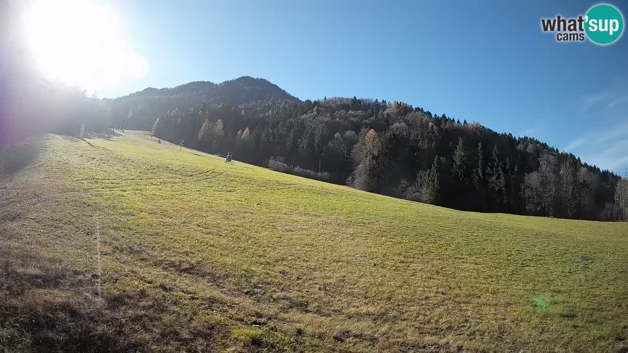 Comprensorio sciistico Kranjska Gora | Brsnina