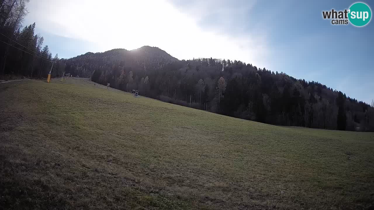 Esquí Kranjska Gora | Brsnina