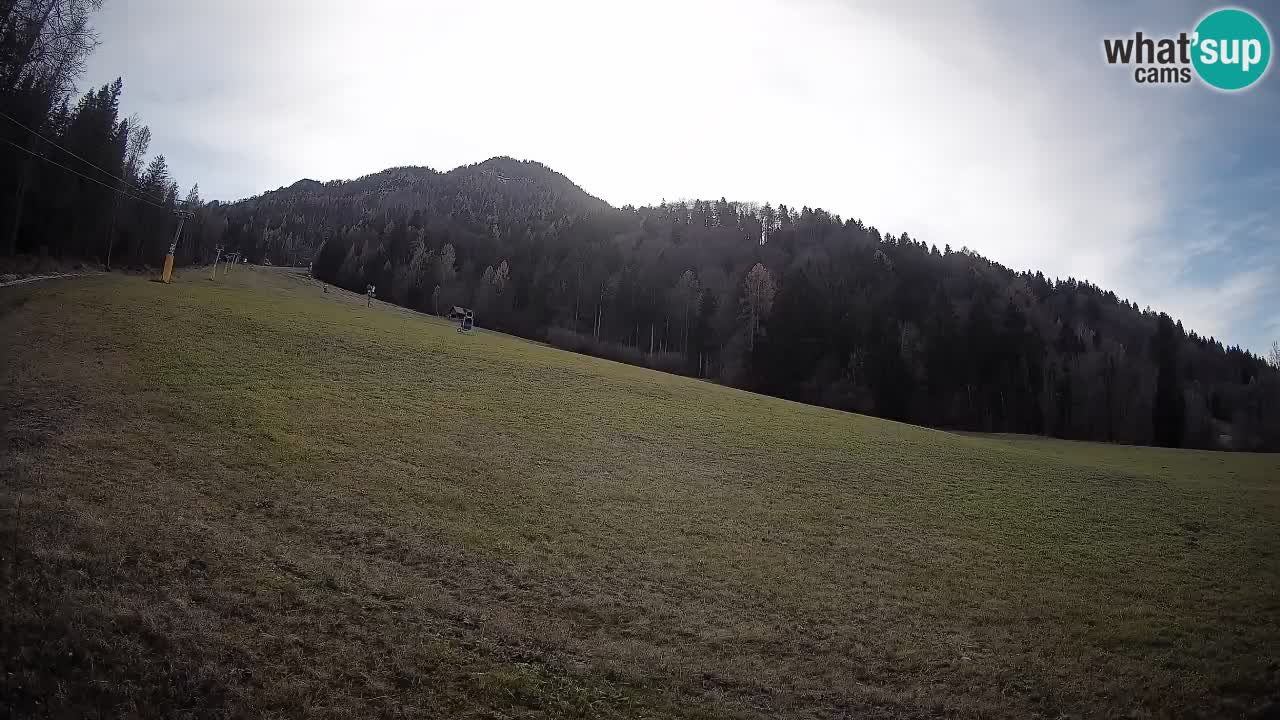 Ski Kranjska Gora | Brsnina