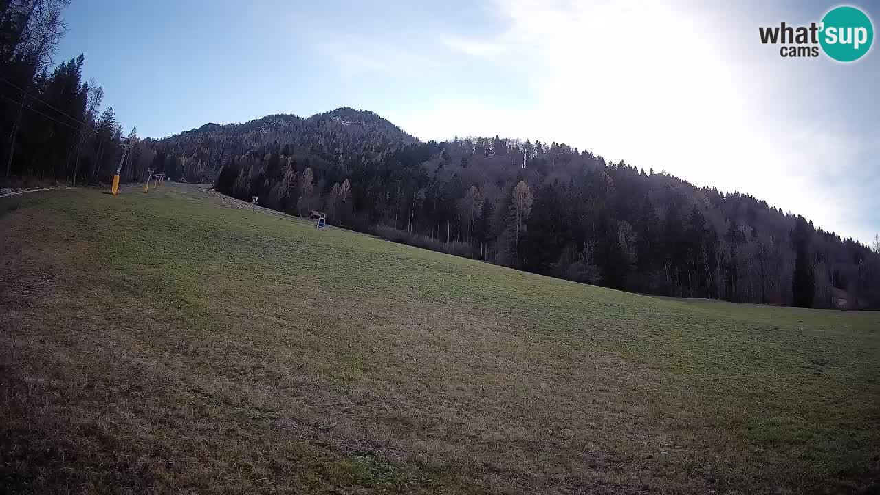 Ski Kranjska Gora | Brsnina